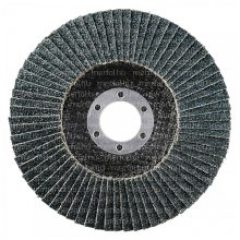 Lamellás csiszolókorong LSZ F Extended 125x22,23 mm (40)