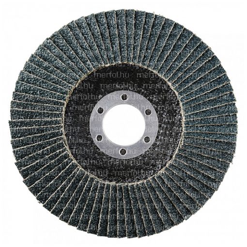 Lamellás csiszolókorong LSZ F Extended 125x22,23 mm (40)
