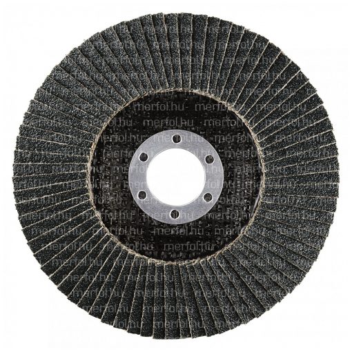 Lamellás csiszolókorong LSZ F Extended 125x22,23 mm (60)