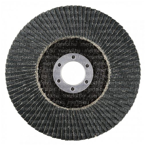 Lamellás csiszolókorong LSZ F Extended 125x22,23 mm (80)