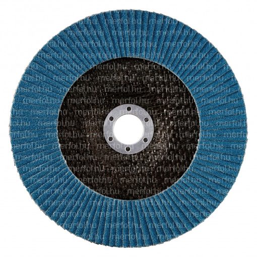 Lamellás korong LGZ F2 180x22,23 mm (60)