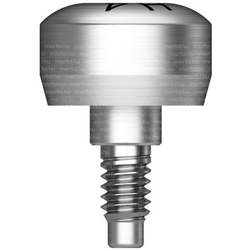 SS Ínyformázó csavar regular